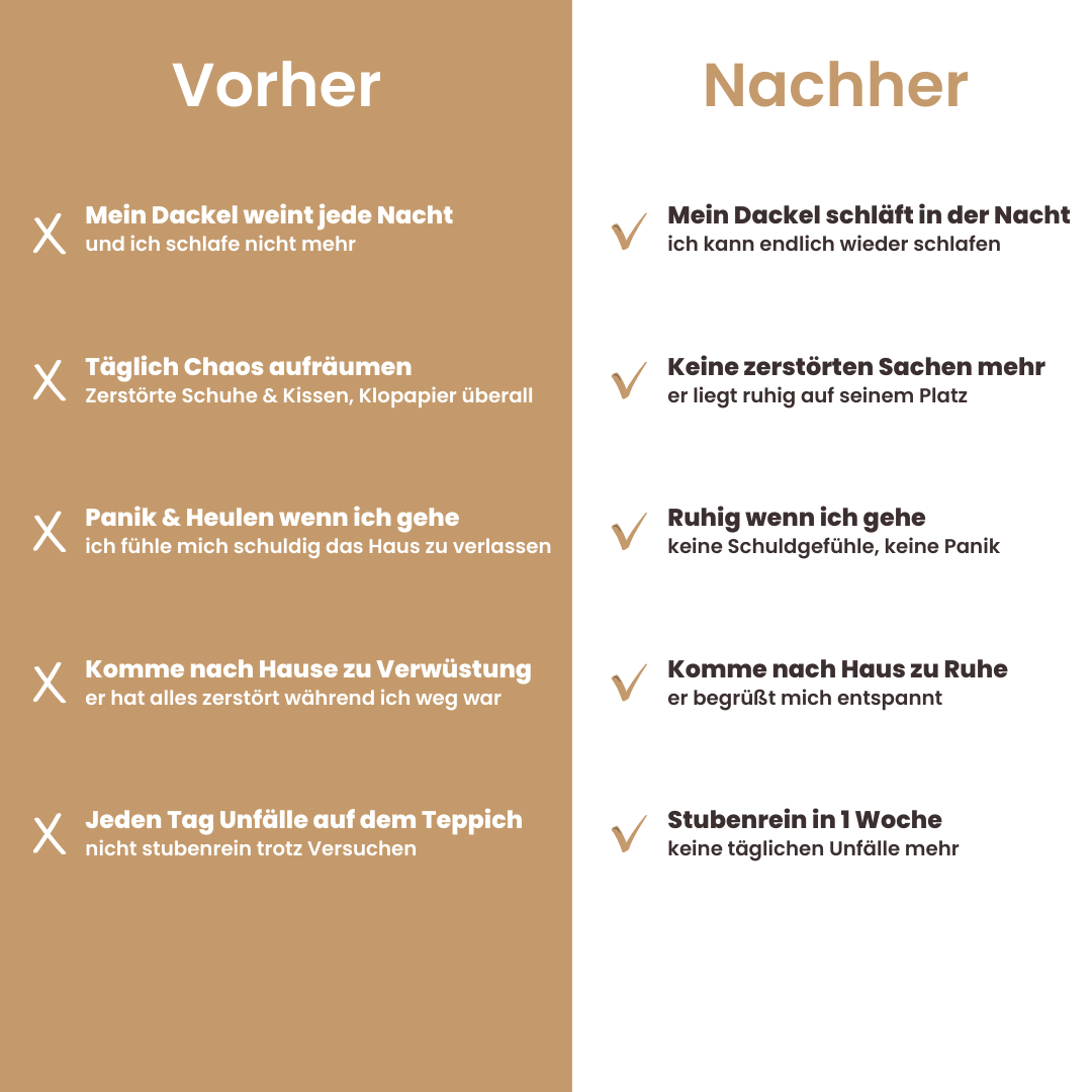 Der vollständige Dackelratgeber