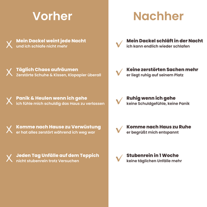 Der vollständige Dackelratgeber