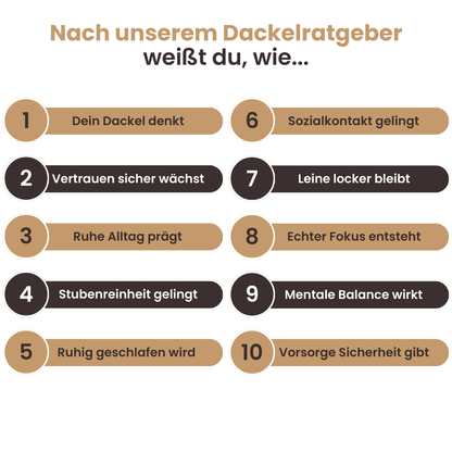 Der vollständige Dackelratgeber