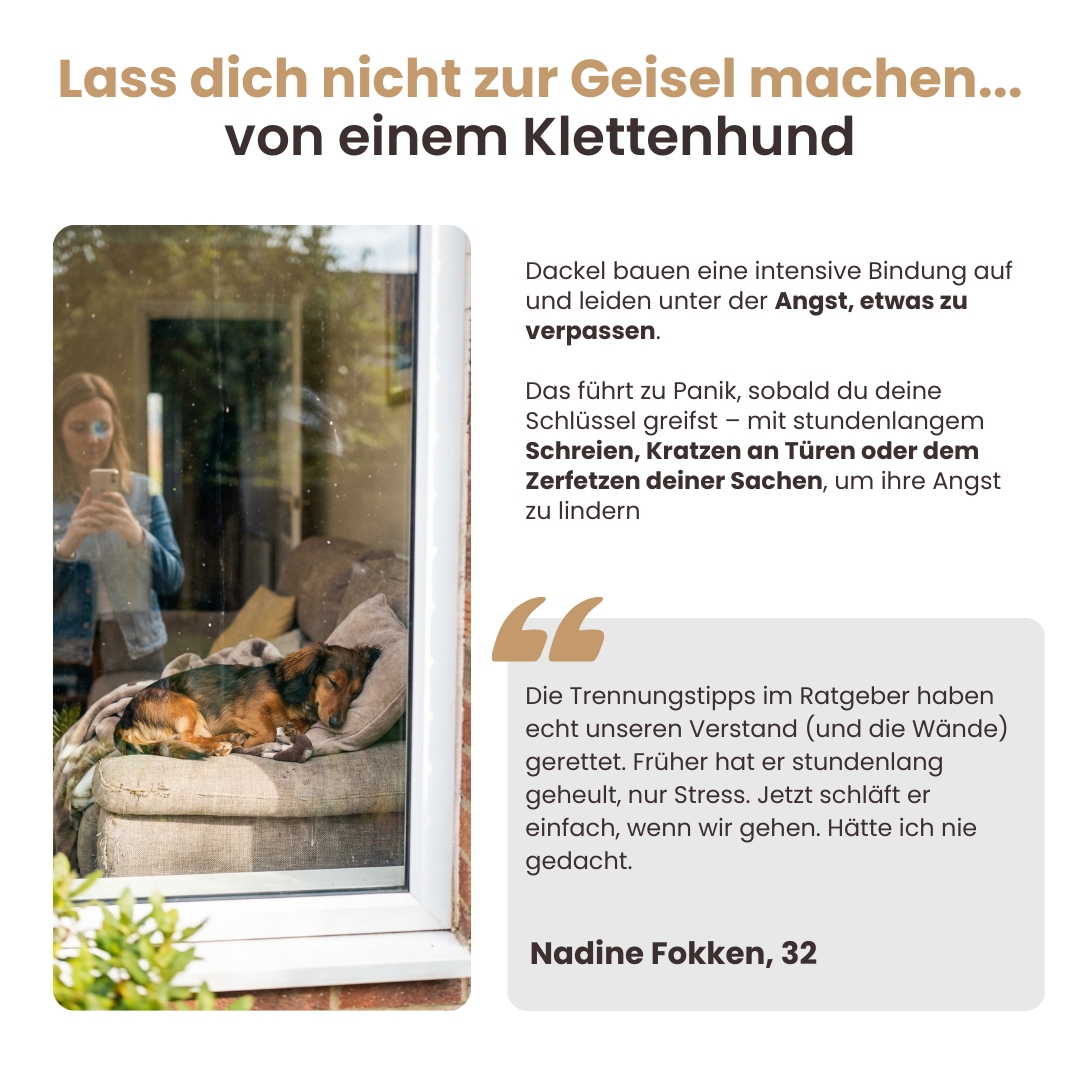 Der vollständige Dackelratgeber