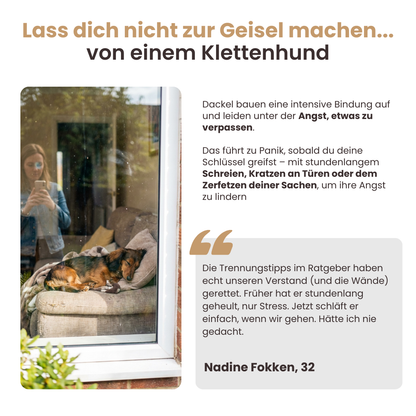 Der vollständige Dackelratgeber