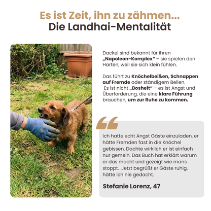 Der vollständige Dackelratgeber