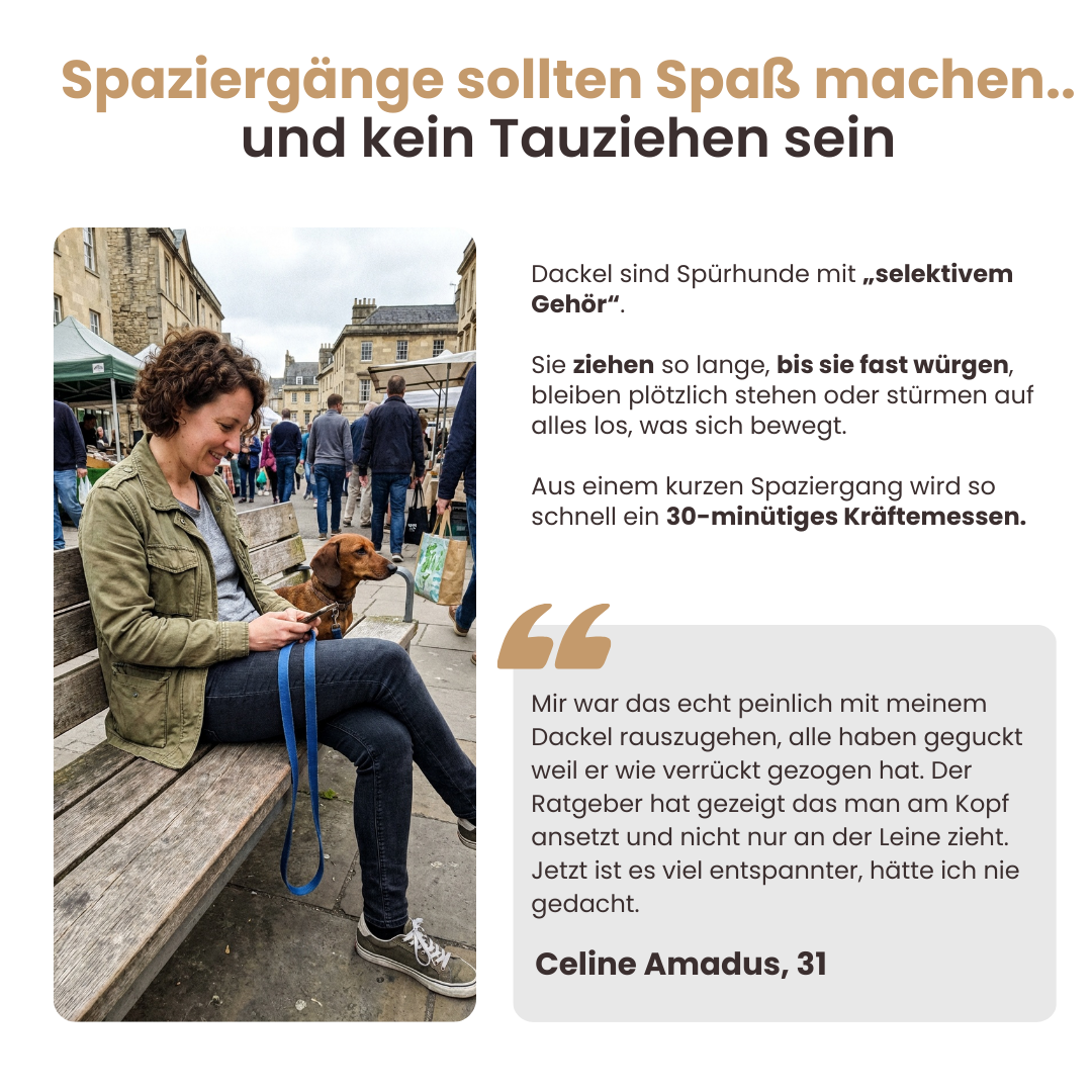 Der vollständige Dackelratgeber