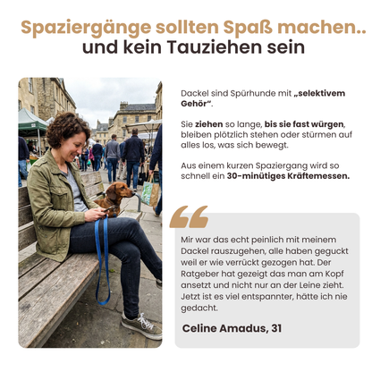 Der vollständige Dackelratgeber