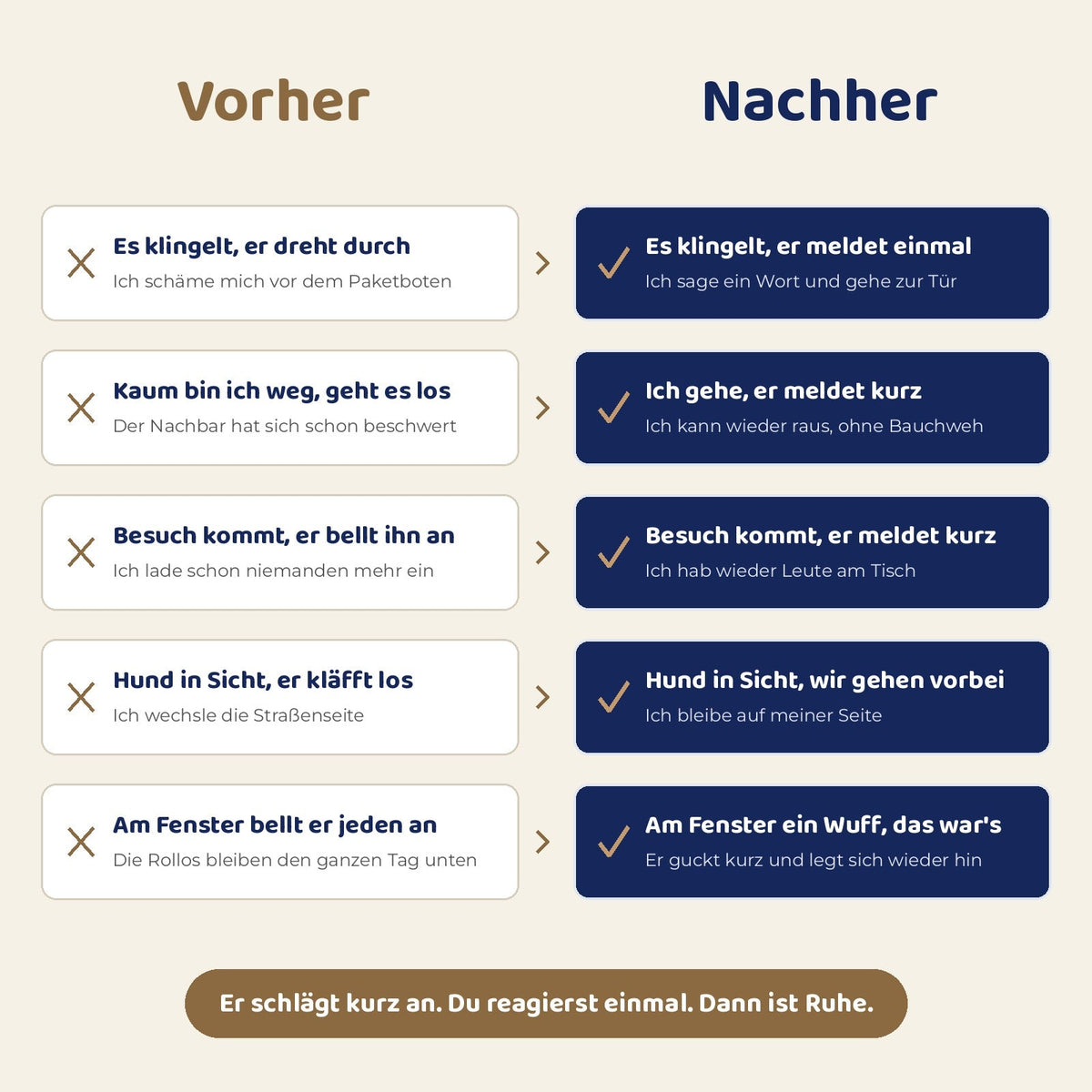 Vorher und nachher: Dackel bei Klingel, Alleinbleiben, Besuch, Leine und Fenster
