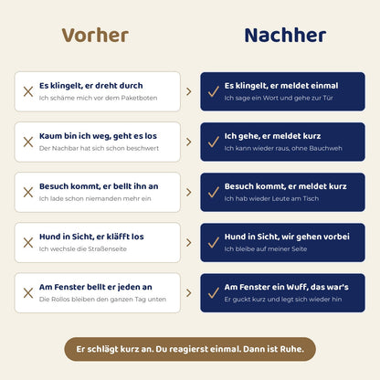 Vorher und nachher: Dackel bei Klingel, Alleinbleiben, Besuch, Leine und Fenster