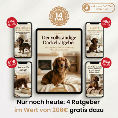 Der vollständige Dackelratgeber