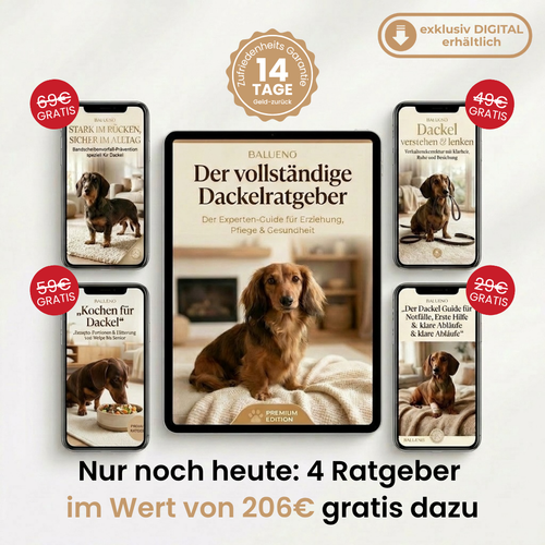 Der vollständige Dackelratgeber