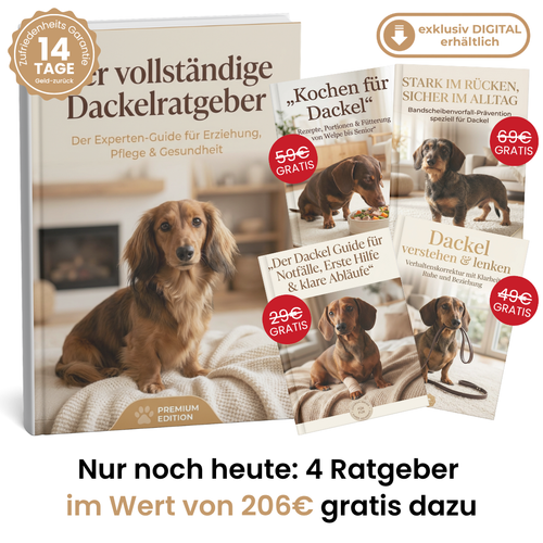 Der vollständige Dackelratgeber