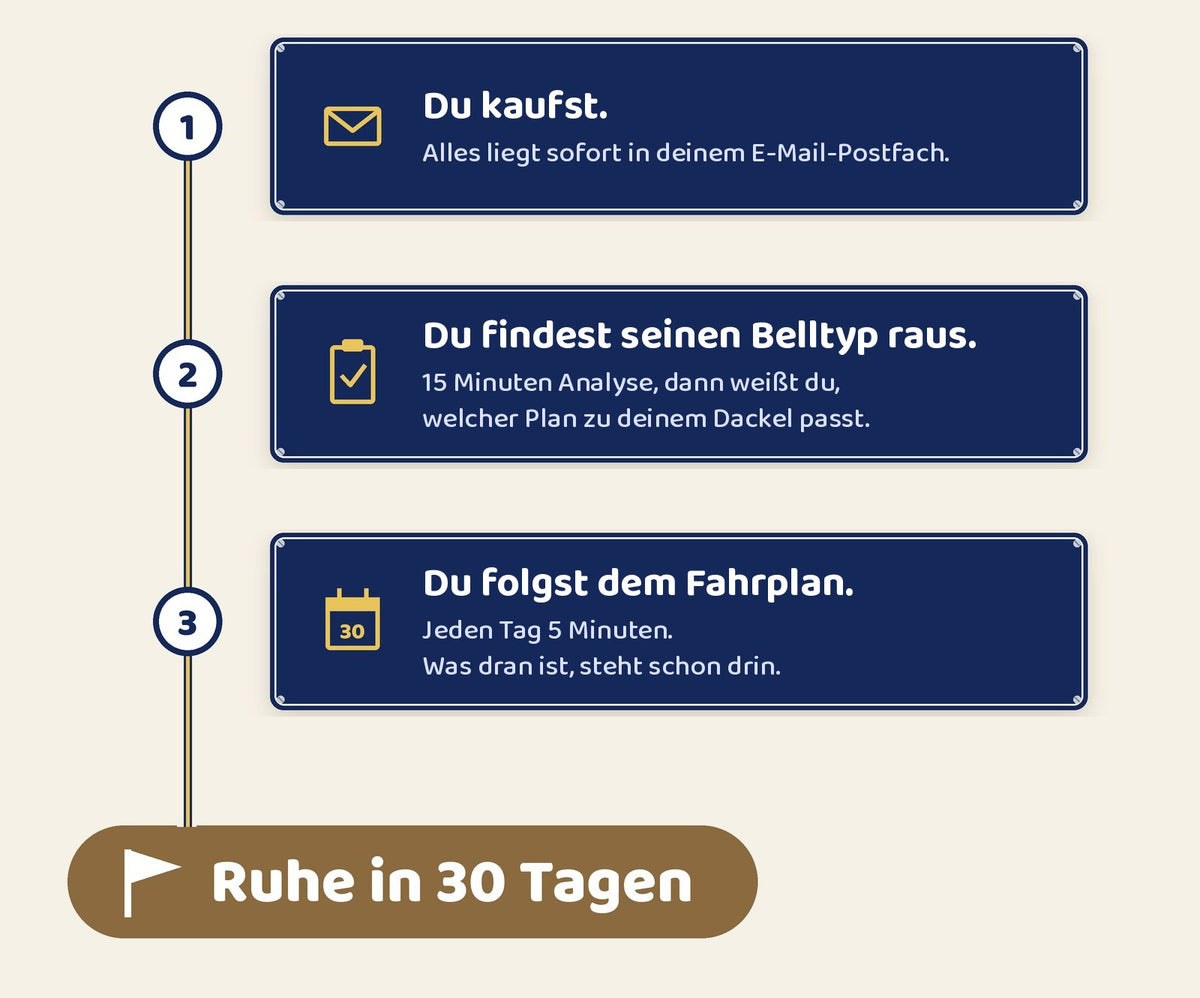 In drei Schritten zum ruhigen Dackel: Kauf, Belltyp-Analyse, 30-Tage-Fahrplan