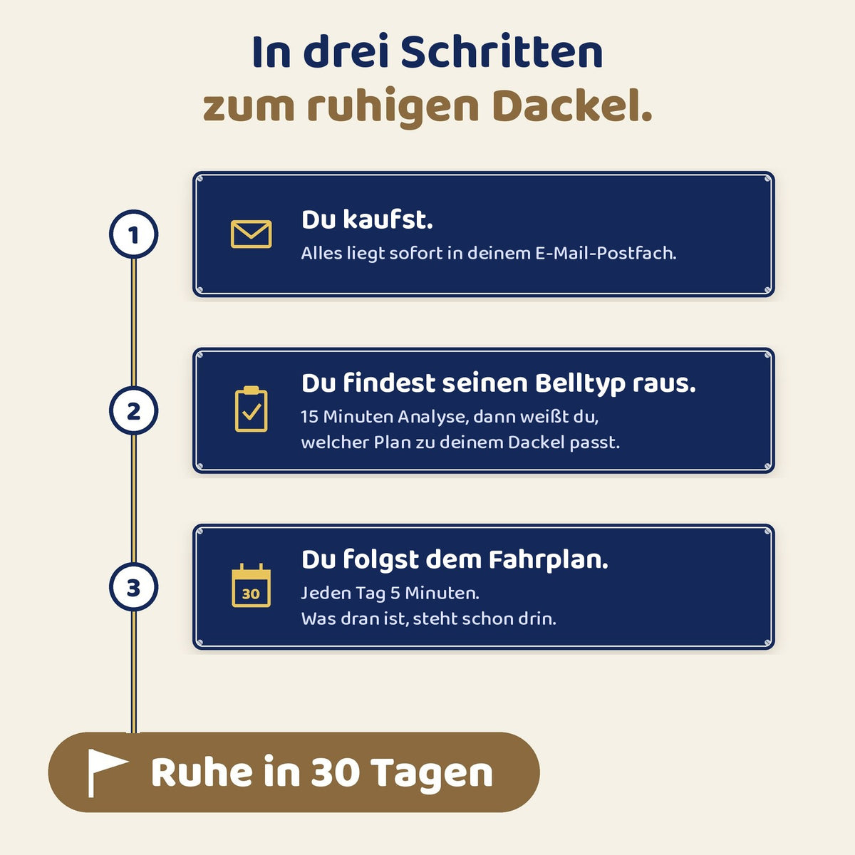 In drei Schritten zum ruhigen Dackel: Kauf, Belltyp-Analyse, 30-Tage-Fahrplan