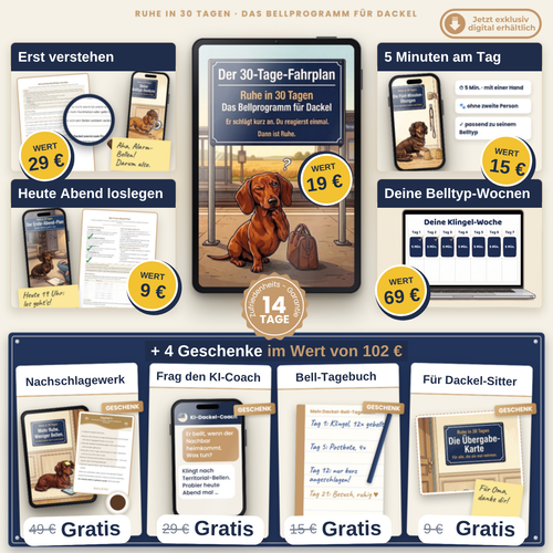 Ruhe in 30 Tagen: 30-Tage-Fahrplan, Belltyp-Analyse, Erste-Abend-Plan, 5-Minuten-Übungen und Belltyp-Wochen, dazu 4 Geschenke im Wert von 102 €. 14 Tage Zufriedenheits-Garantie, exklusiv digital erhältlich